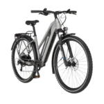 FISCHER E-Bike ATB TERRA 2.2 Active